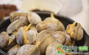黄蚬子蒸多久最佳时间