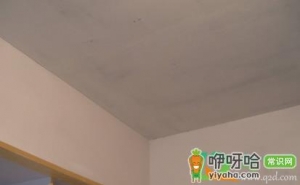 屋顶腻子有裂纹怎么处理