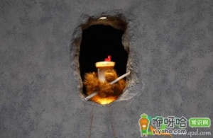 上海网红小熊掌咖啡店在哪里