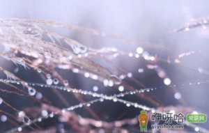 2022年节气交寒露在几点几分