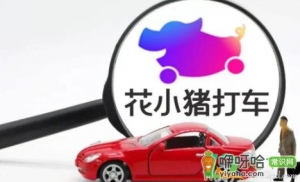 花小猪是按照成交率派单吗