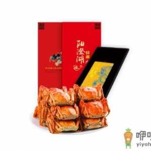 蟹卡一般什么时候能提蟹