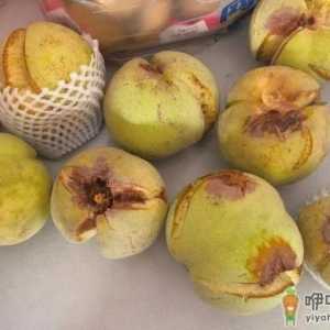 爆炸桃好吃吗