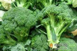 花椰菜老空茎是咋回事