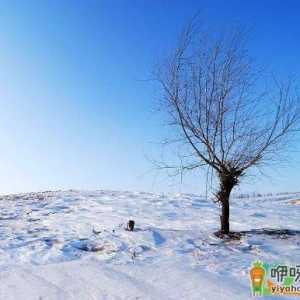 2021今天全国哪里下雪了