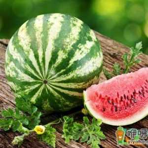 自己种的西瓜为什么不甜