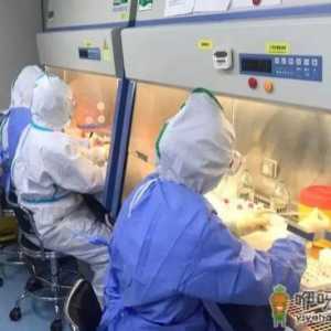 核酸检测采样后可以低温保存多久