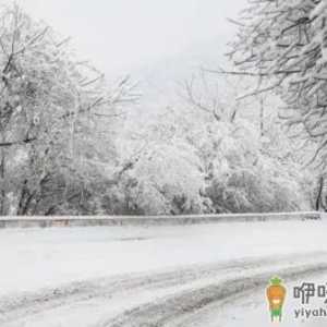 2022年大年初一那天有雪吗