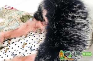 兔毛衣服染色怎么洗掉