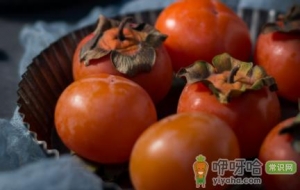 柿子怎么吃才不涩嘴