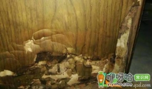 木门烂了怎么补救