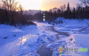 2021小雪节气能吃饺子吗