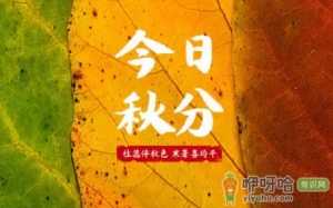 每年秋分为农民丰收节