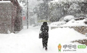 大雪属于几九2022