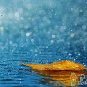 今年元旦会下雨吗2022