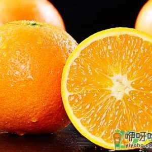 赣南脐橙苗哪里的最正宗