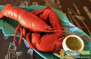 波士顿龙虾脑袋里绿色能吃吗