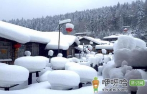 雪乡一直有雪吗