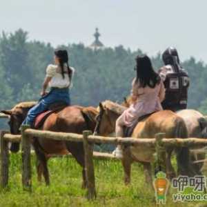 2021武汉乡村旅游惠民券哪些景点免费