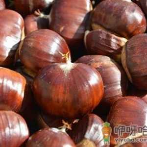 板栗发芽可不可以食用