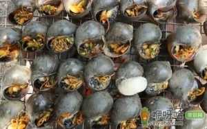 为什么田螺可以吃福寿螺不能