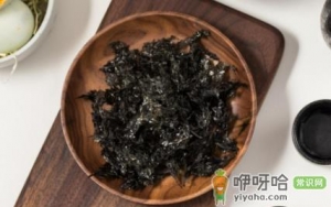 紫菜是不是海鲜