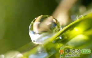2021寒露之后还热不热了