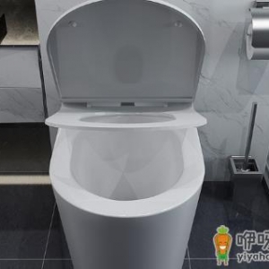 男生上大号马桶圈要掀起来吗