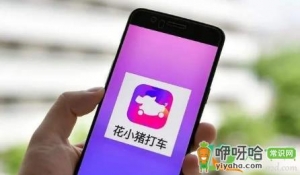 花小猪注册多久就可以接单了