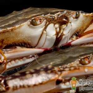 专家建议冰鲜螃蟹炒制或油炸的原因