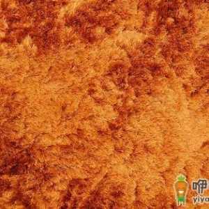 地毯应该如何清洗与保养