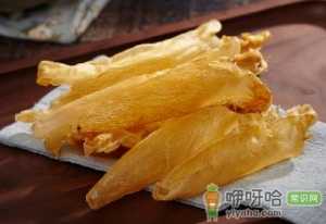 花胶要泡多久为最佳
