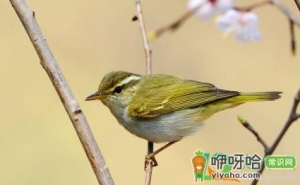 2022年几月几日开春