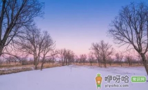 小雪大雪冷还是小寒大寒冷