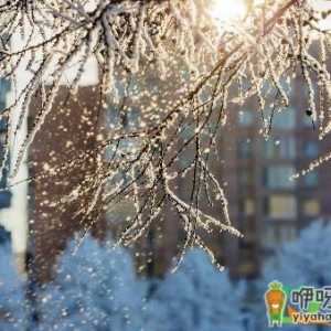 2021年冬天会不会有大雪