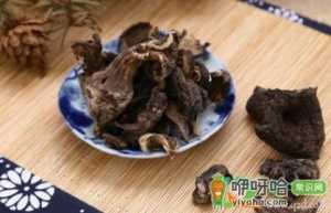 怎么防止干货受潮