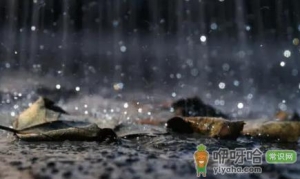 为什么现在内蒙古地区天天下雨最新