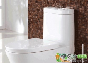 马桶盖阻尼器的维修图