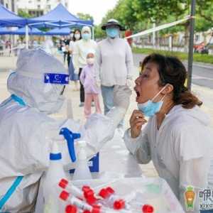 核酸检测上颚取样可以吗