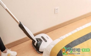 怎么去除拖把的霉味道