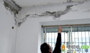 天花板发霉是楼上漏水吗