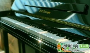 钢琴键脏了一般用什么清理