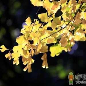 2021年秋天什么时候开始冷