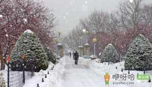 2022年北京除夕当天会下雪吗