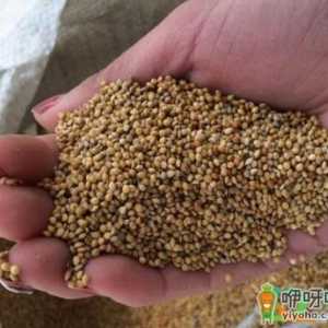 稻谷皮可以直接拌土种花么