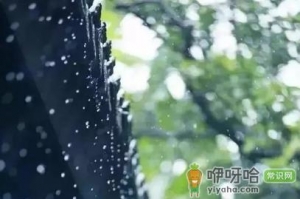 12月下雨正常吗