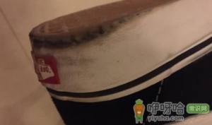 鞋子内侧磨损严重是什么腿型
