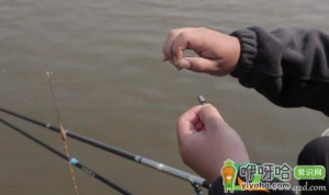 新手钓鱼怎么看鱼上钩