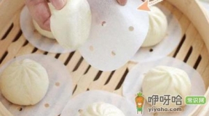 为什么包子下面有纸