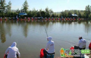 钓黑坑什么时候好钓鱼